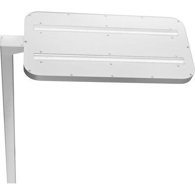 Hansa Candeeiro de pé LED Safira Plus , regulável, branco, Candeeiro de pé LED Safira Plus, regulável, branco. Controlo independente da luz direta e indireta através do controlo tátil. Ótima iluminação direta e indireta (aprox. 36% de luz direta e 64% de Hansa Candeeiro de pé LED Safira Plus , regulável, branco, Candeeiro de pé LED Safira Plus, regulável, branco. Controlo independente da luz direta e indireta através do controlo tátil. Ótima iluminação direta e indireta (aprox. 36% de luz direta e 64% de