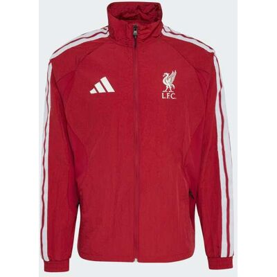 Casaco Anthem Principal Do Liverpool Fc adidas MKP Casaco Anthem Principal Do Liverpool Fc adidas MKP
