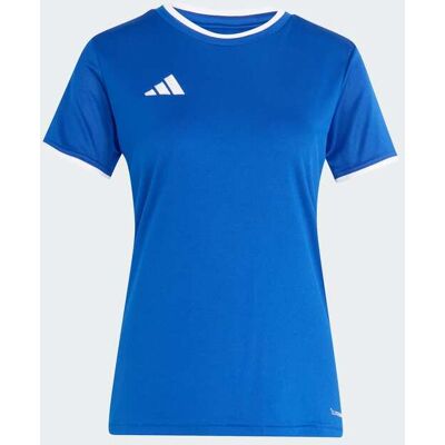 Camisola Entrada26 adidas MKP Camisola Entrada26 adidas MKP