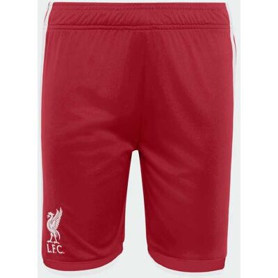Calções Principais 26/27 Do Liverpool Fc — Criança adidas MKP Calções Principais 26/27 Do Liverpool Fc — Criança adidas MKP