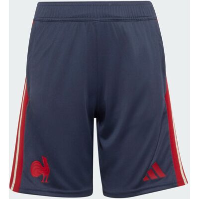 Calções France Rugby Gym Para Criança adidas MKP Calções France Rugby Gym Para Criança adidas MKP