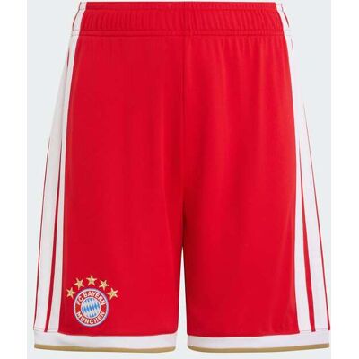 Calções Principais 26/27 Do Fc Bayern München - Criança adidas MKP Calções Principais 26/27 Do Fc Bayern München - Criança adidas MKP