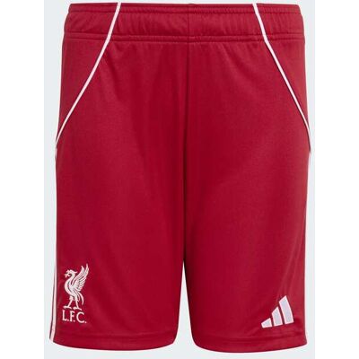 Calções Principais 25/26 Do Liverpool Fc - Criança adidas MKP Calções Principais 25/26 Do Liverpool Fc - Criança adidas MKP