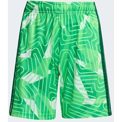 Adidas Tiro26 Competition Goalkeeper - Calções Guarda-Redes Criança MKP Adidas Tiro26 Competition Goalkeeper - Calções Guarda-Redes Criança MKP
