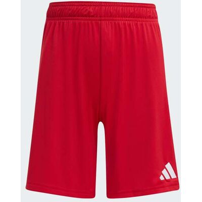 Calções Entrada26 - Criança adidas MKP Calções Entrada26 - Criança adidas MKP