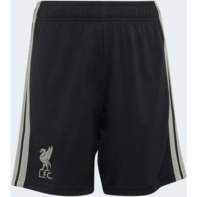Calções Do Terceiro Equipamento Liverpool Fc 26/27 Para Crianças adidas MKP Calções Do Terceiro Equipamento Liverpool Fc 26/27 Para Crianças adidas MKP