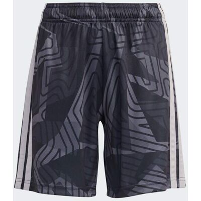 Adidas Tiro26 Competition Goalkeeper - Calções Guarda-Redes Criança MKP Adidas Tiro26 Competition Goalkeeper - Calções Guarda-Redes Criança MKP