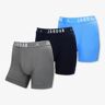 Jordan Flight - Azul - Boxers tamanho L