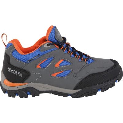 / Holcombe Botas De Caminhada Holcombe Baixo Júnior Regatta Holcombe Low MKP / Holcombe Botas De Caminhada Holcombe Baixo Júnior Regatta Holcombe Low MKP