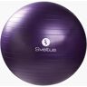 Bola Ginásio Sveltus - Roxo - Bola Ginásio 75cm tamanho UNICA