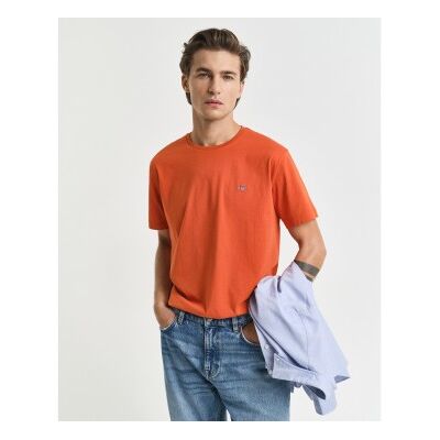 Gant para homem. 2003184 Camiseta Regular Fit Shield laranja (XL), Casual, Algodão, Manga curta Gant para homem. 2003184 Camiseta Regular Fit Shield laranja (XL), Casual, Algodão, Manga curta