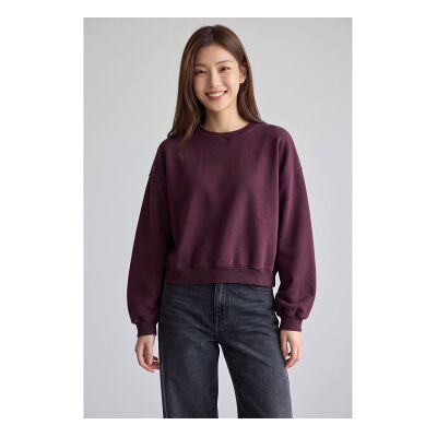 Bellerose para mulher. BW262302 T1731 Moletom Fancy62 bordô (S), Casual, Grená, Algodão, Manga comprida, Borgonha Bellerose para mulher. BW262302 T1731 Moletom Fancy62 bordô (S), Casual, Grená, Algodão, Manga comprida, Borgonha