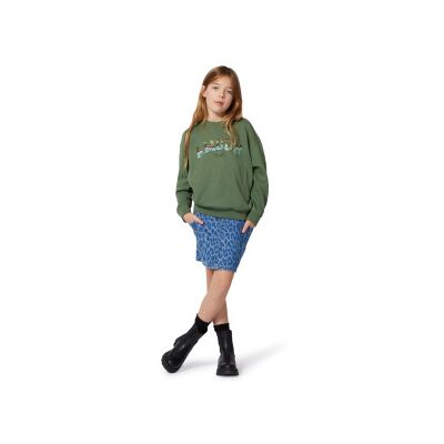 Zadig & Voltaire para menina. X60433 Sweatshirt Rock green (16Y= 174cm), Casual, Verde, Algodão, moda infantil Zadig & Voltaire para menina. X60433 Sweatshirt Rock green (16Y= 174cm), Casual, Verde, Algodão, moda infantil