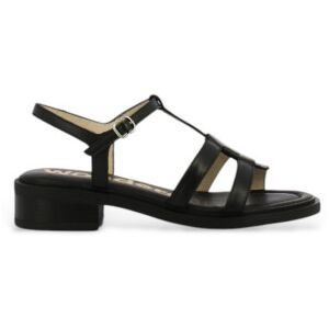 Wonders para mulher. B-9604 Sandálias de couro Janet preto (38), 1 a 3cm, Fivela, Casual Wonders para mulher. B-9604 Sandálias de couro Janet preto (38), 1 a 3cm, Fivela, Casual
