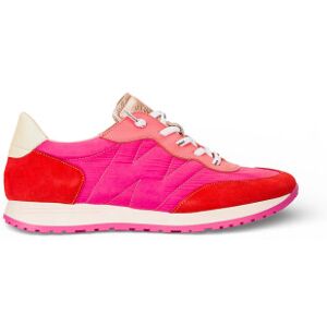 Wonders para mulher. A-4802 Towanda02 Tênis de couro rosa (40), Plano, Cordão, Casual Wonders para mulher. A-4802 Towanda02 Tênis de couro rosa (40), Plano, Cordão, Casual