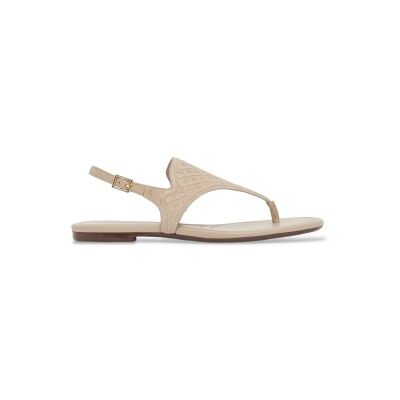A X Armani Exchange para mulher. XW002572AF22796U6223 Pack Sandálias bege (36), Plano, Fivela, Casual, Clássico A X Armani Exchange para mulher. XW002572AF22796U6223 Pack Sandálias bege (36), Plano, Fivela, Casual, Clássico
