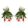 Plant In A Box Hanging Plants Aeschynantus Twister Conjunto de 2 Pote 15Cm Altura 20-30Cm