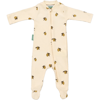 Molis&Co Pijama Bebé Colima 3-6 Meses 100% Algodão Abertura Total Molis&Co Pijama Bebé Colima 3-6 Meses 100% Algodão Abertura Total