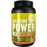 GoldNutrition Creatina Power Mix Naranja e Mango 1000 gr