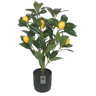 Limoeiro Artificial Actuel Com Vaso Plástico Altura 52cm Limoeiro Artificial Actuel Com Vaso Plástico Altura 52cm