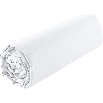 Lençol De Baixo Com Elástico Actuel Branco Percal 90x200cm Lençol De Baixo Com Elástico Actuel Branco Percal 90x200cm