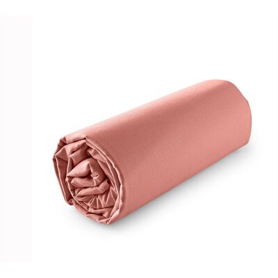 Lençol De Baixo Actuel 100% Algodão Terracota 160x200cm Lençol De Baixo Actuel 100% Algodão Terracota 160x200cm