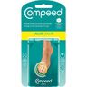 Compeed Cerveja Super Bock 6x1l