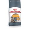 Ração Gato Royal Canin Hair & Skin 33 2 Kg