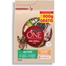 Ração Para Cão Purina One Mini Active 2.2kg+800g