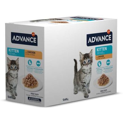 Comida Húmida Gato Advance Júnior Frango 12x85g Comida Húmida Gato Advance Júnior Frango 12x85g