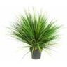 Lizgarden Planta Artificial Relva Onion