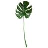 Asa Haste Folha Philodendron DEKO 66638444