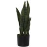 Cesar Collection Planta Artificial Dracena (Sansevieria)