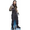 S/marca Star Cutouts Ltd Roman Reigns Papelão Multicolor 189 X 75 X 189 Cm Sc1123