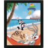 Pyramid Moldura Lenticular 3D Looney Tunes Beach Day