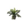 Mica Decorations Palmera sago (cyca revoluta) pvc con maceta gris 33x11.5cm