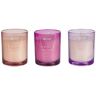 Beliani Conjunto de velas aromáticas Sheer joy de Cera de soja Rosa 7x8x8