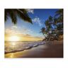 Artgeist Papel de Parede Tropical Beach (392x280 cm)