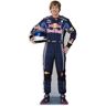 S/marca Figura de Papelão Tamanho Real Sebastian Vettel 172Cm