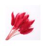 Slowmoose Flor Verdadeira Lagurus Ovatus (Vermelho)
