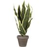 Mica Decorations Planta Artificial Sansevieria