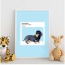 Nacnic Póster Dachshund. com Ilustrações de Raças de Cães em Tons e Bolo.