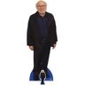 S/marca Figura de Papelão Tamanho Real Danny Devito 146Cm