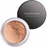 bareMinerals Mineral Veil #tinted