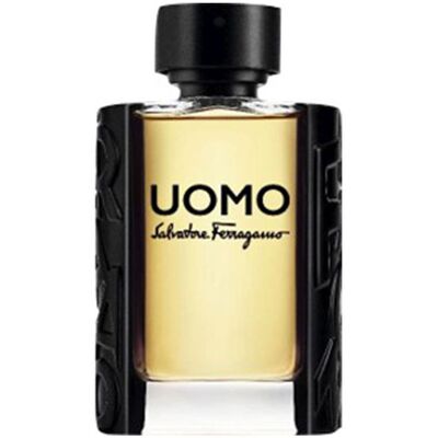 Uomo Salvatore Ferragamo eau de toilette vaporizador 100 ml Uomo Salvatore Ferragamo eau de toilette vaporizador 100 ml