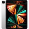 Apple iPad Pro 12.9" 2021 (5ª Geração) Muito Bom Prateado 128 GB Wi-Fi + Cellular