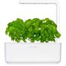 Click and Grow Smart Garden 3