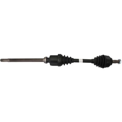 Mola de suspensão traseira Ford Focus - 1143774, 36163991, R10813 Mola de suspensão traseira Ford Focus - 1143774, 36163991, R10813