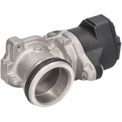 Válvula EGR DELPHI EG10555-12B1 Válvula EGR DELPHI EG10555-12B1