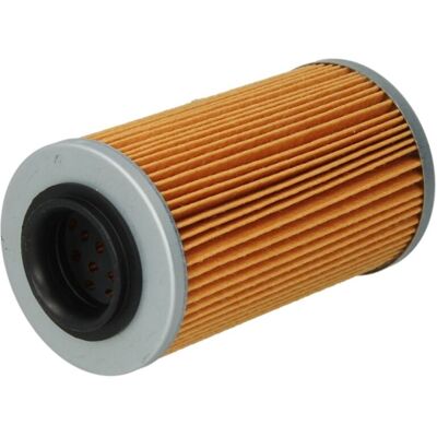 Filtro de Óleo de Moto Champion HF556 COF456 Filtro de Óleo de Moto Champion HF556 COF456